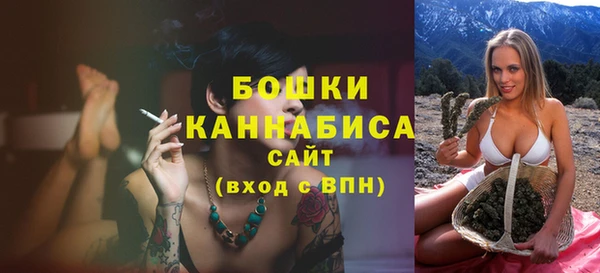 стафф Касимов