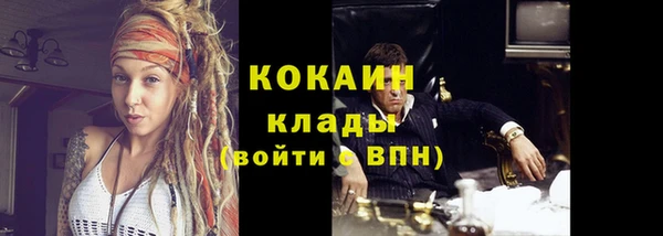 стафф Касимов