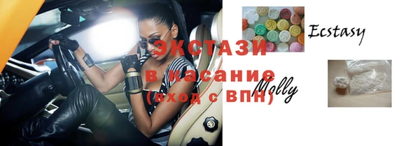 стафф Касимов