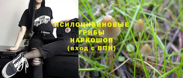 стафф Касимов