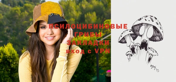 дживик Карталы