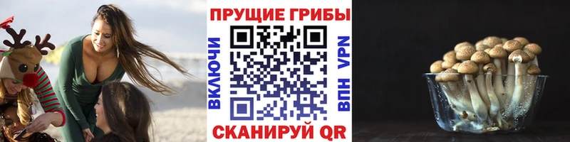 Галлюциногенные грибы GOLDEN TEACHER  Купить где  Буйнакск 